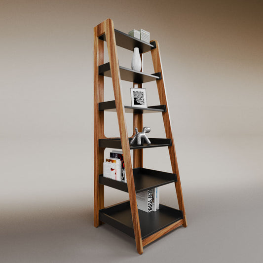 Aura ladder bookcase
