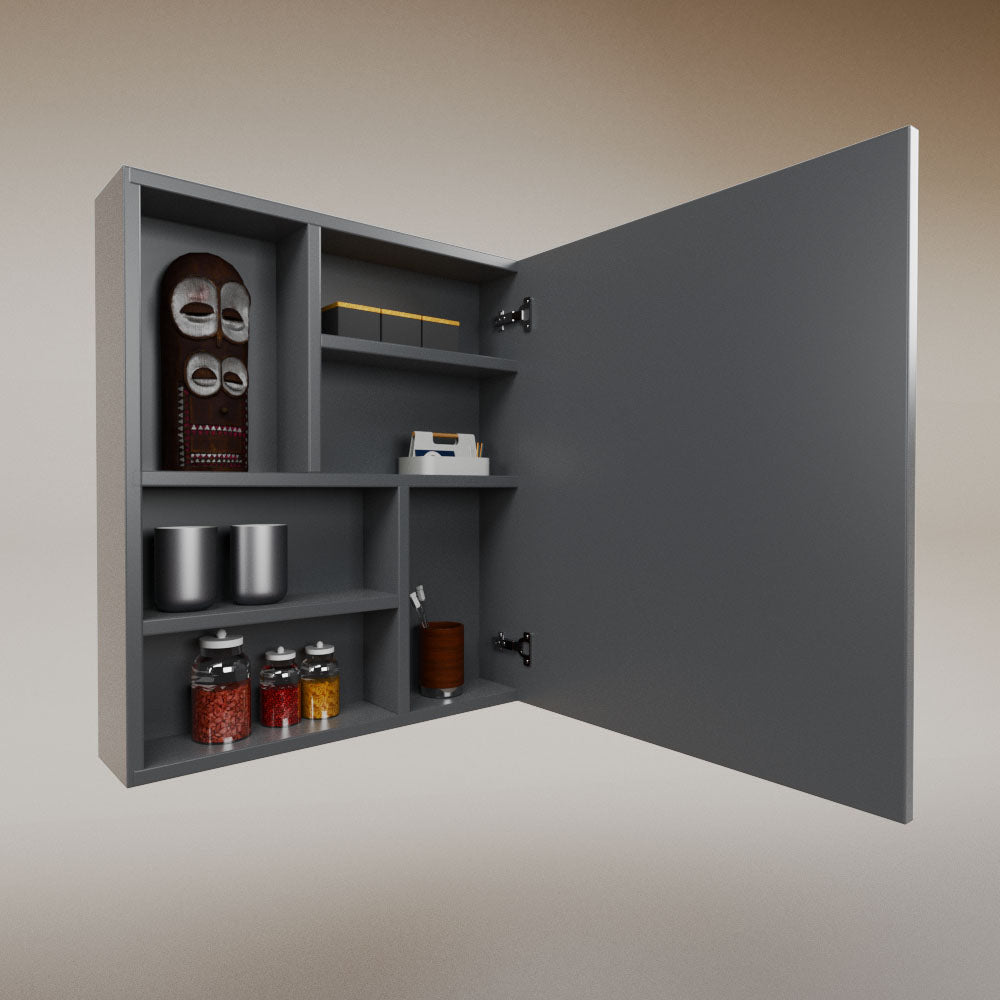 Erika medicine cabinet mirror