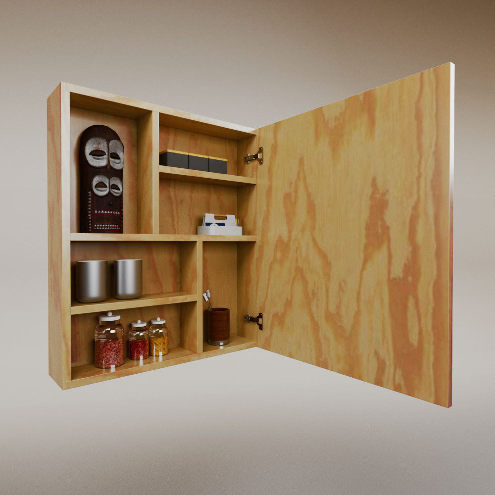 Erika medicine cabinet mirror