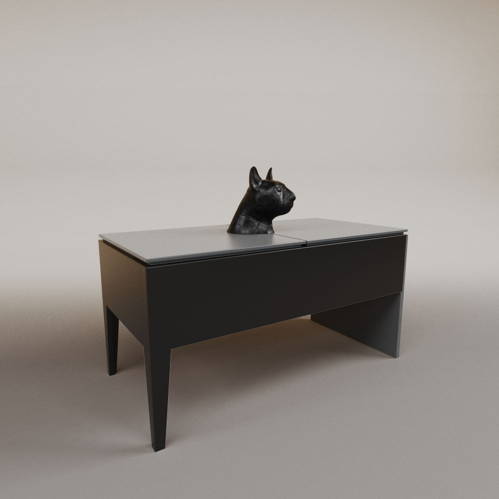Imanol lifting table