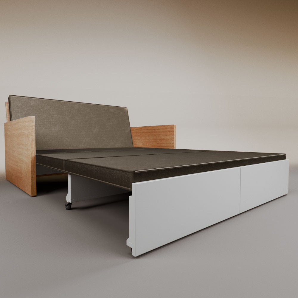 Esteban Queen Sleeper Sofa
