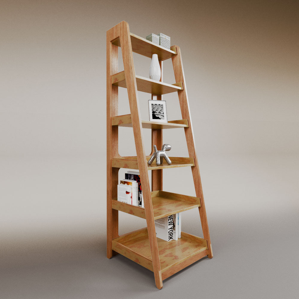 Aura ladder bookcase