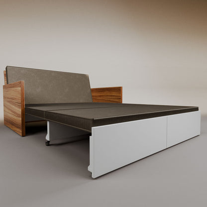 Esteban Queen Sleeper Sofa