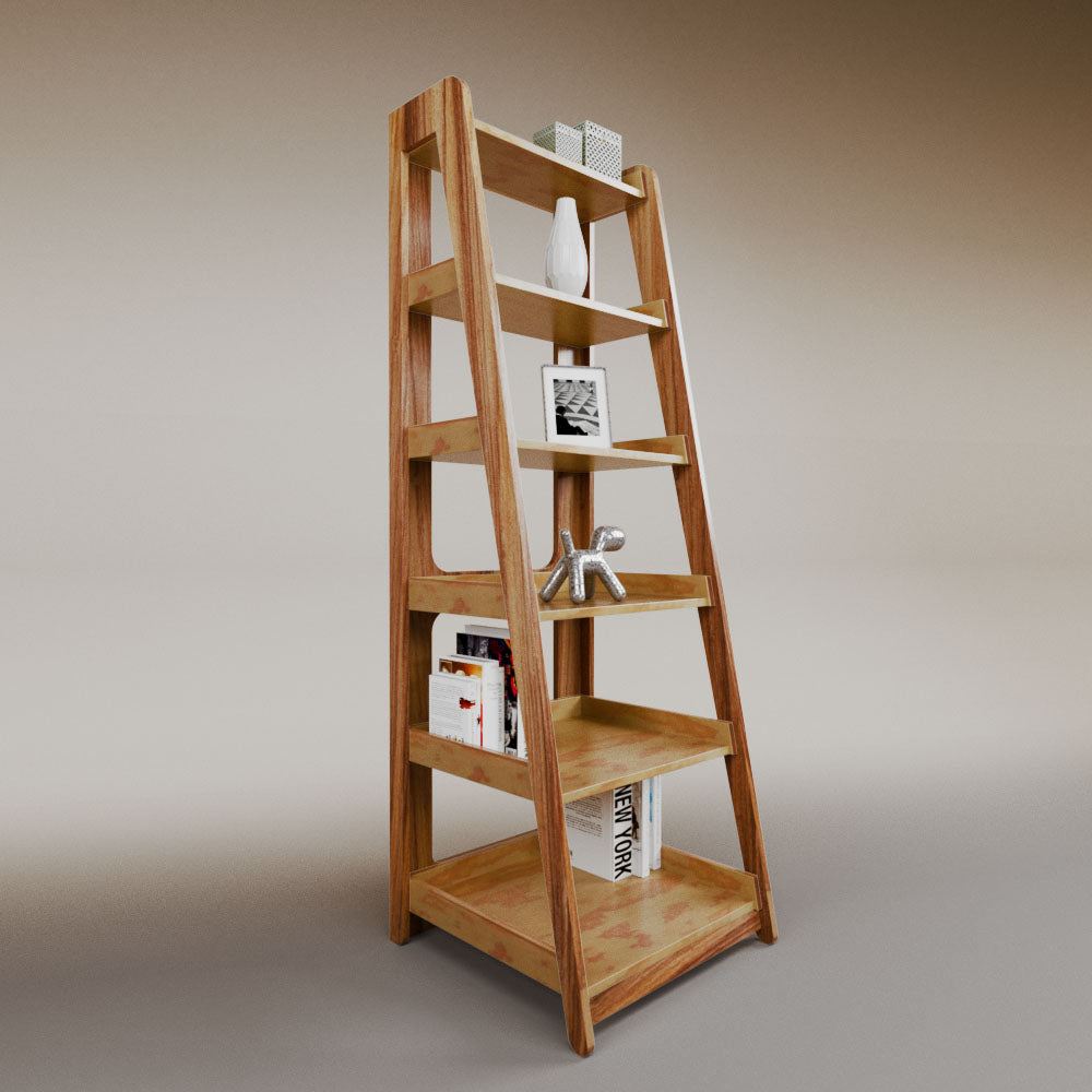 Aura ladder bookcase