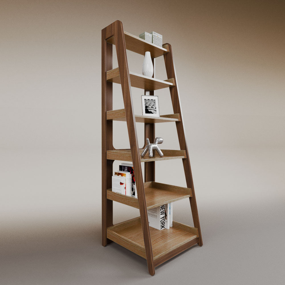 Aura ladder bookcase