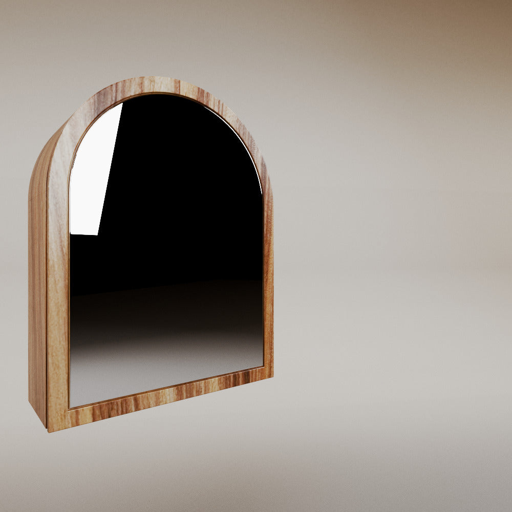 Ana medicine cabinet mirror
