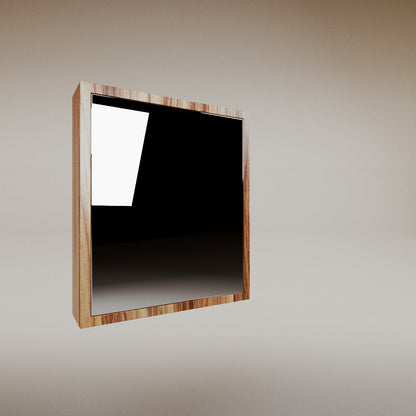 Erika medicine cabinet mirror